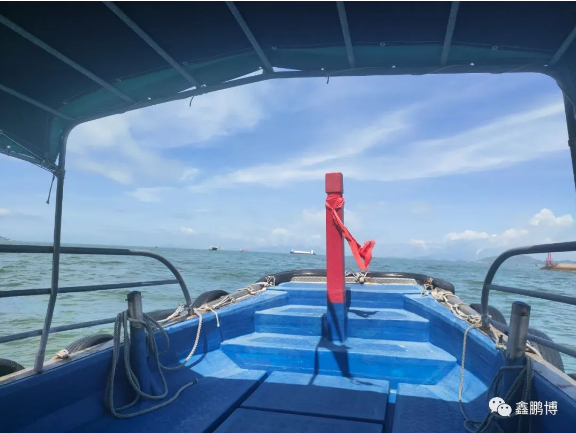 出?；顒? width=